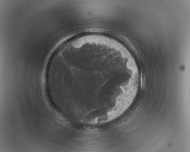 X0000116610531201001081213