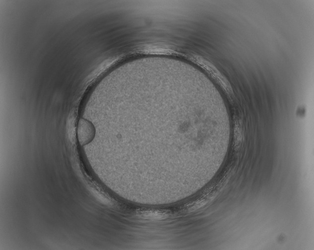 X0000116610533201001081213