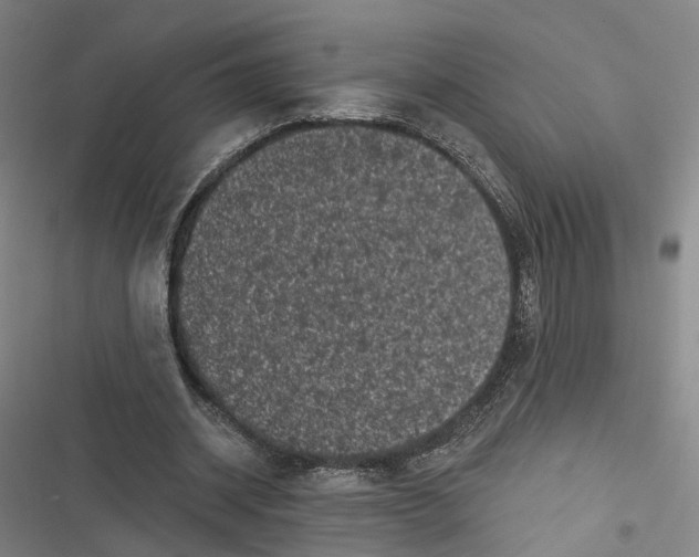 X0000116610534201001081213