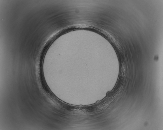 X0000116610535201001081213