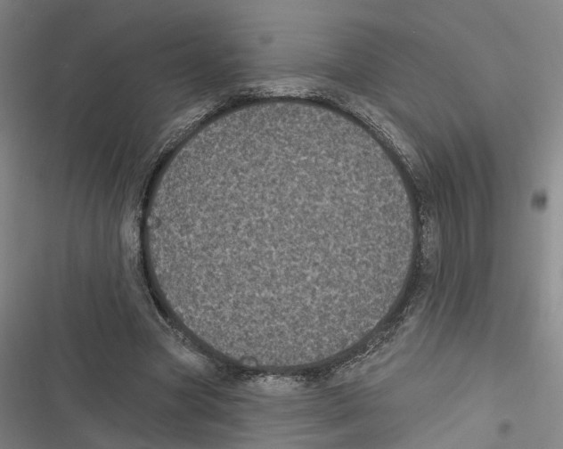 X0000116610537201001081213