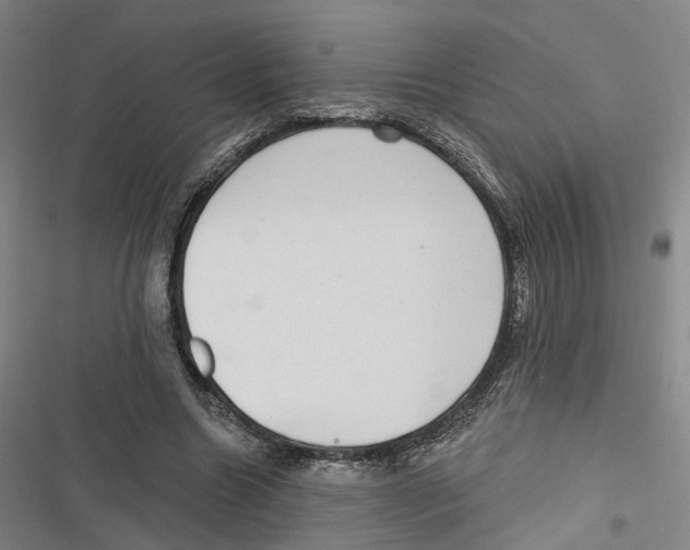 X0000116610538201001081213