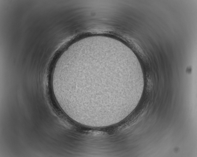 X0000116610539201001081213