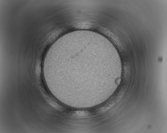 X0000116610541201001081213