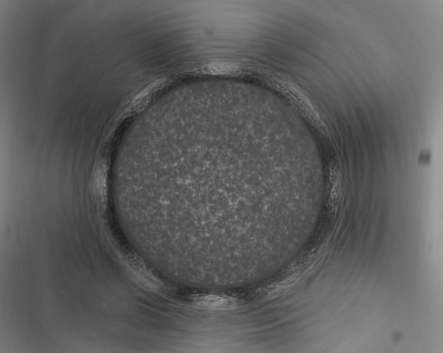 X0000116610542201001081213