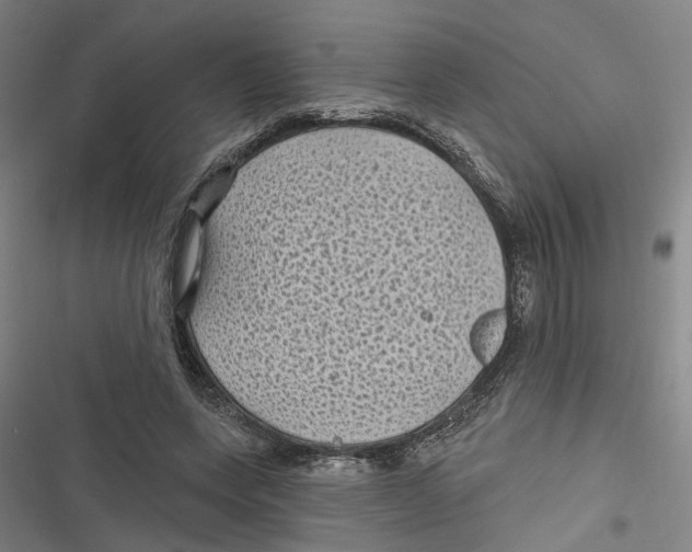 X0000116610543201001081213