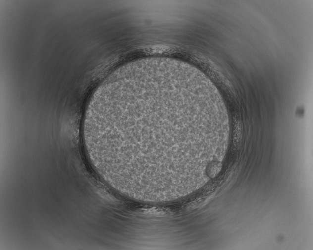 X0000116610545201001081213