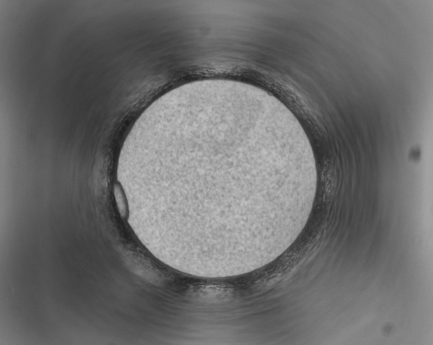 X0000116610546201001081213