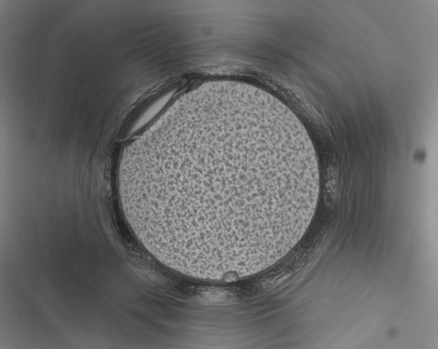 X0000116610547201001081213