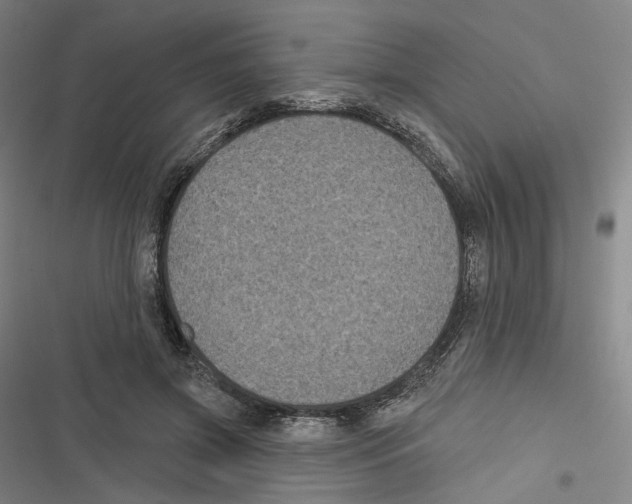 X0000116610549201001081213