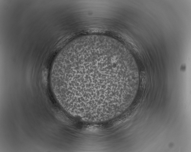 X0000116610550201001081213