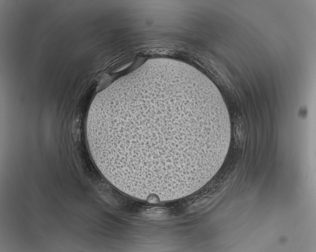 X0000116610551201001081213