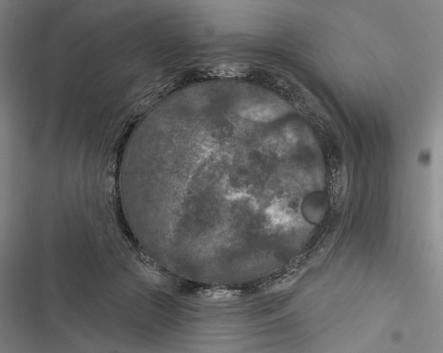 X0000116610553201001081213