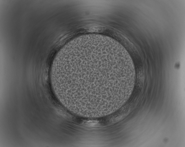 X0000116610554201001081213