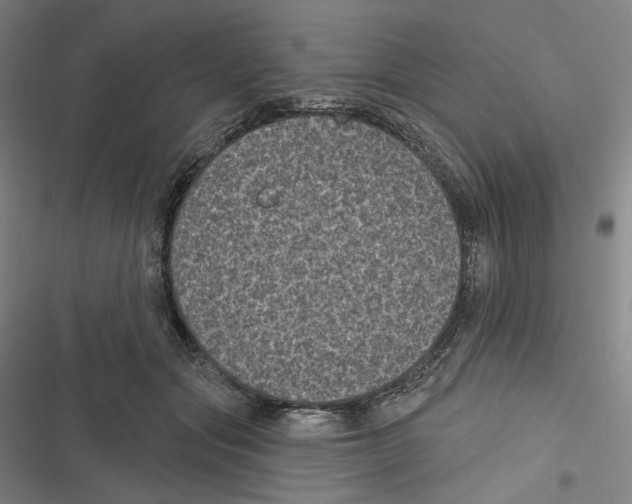 X0000116610557201001081213