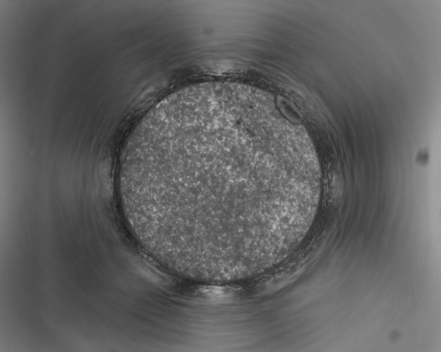 X0000116610558201001081213