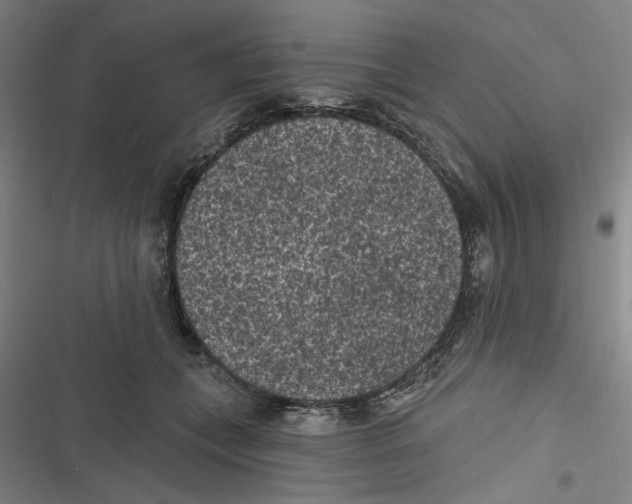 X0000116610559201001081213