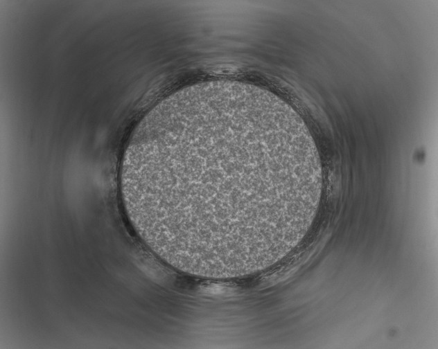 X0000116610561201001081213