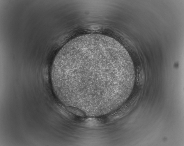 X0000116610562201001081213