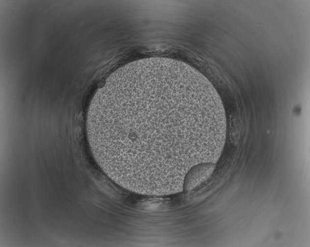 X0000116610563201001081213