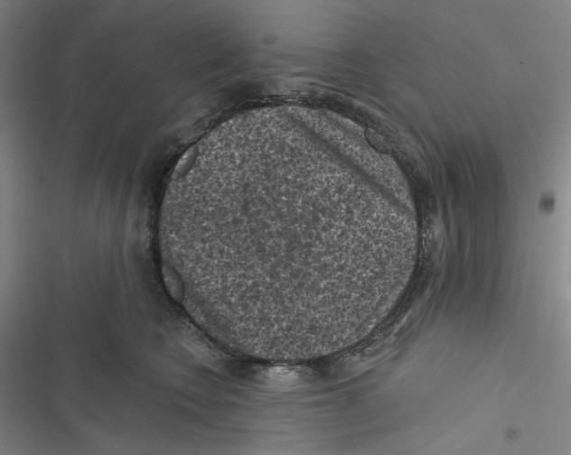 X0000116610566201001081213