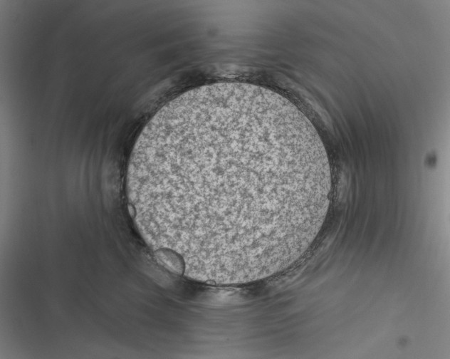 X0000116610569201001081213