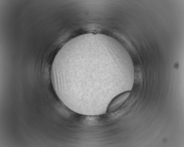 X0000116610573201001081213