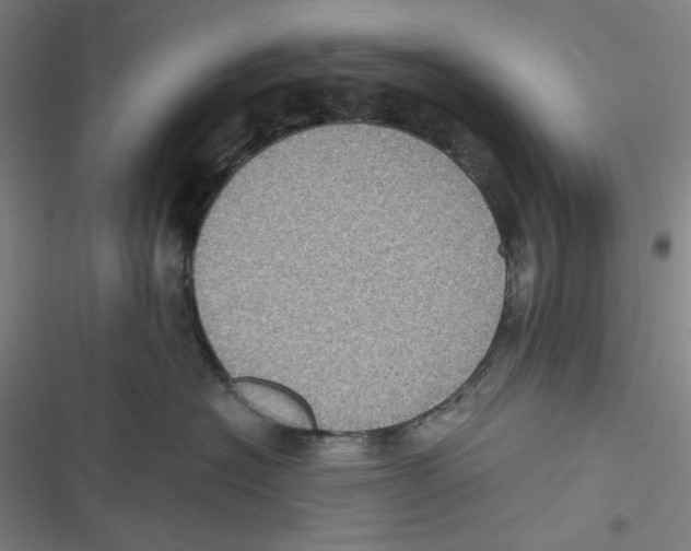 X0000116610574201001081213