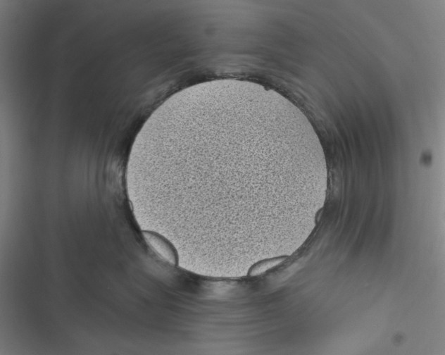 X0000116610575201001081213