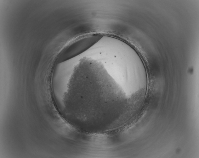 X0000116610577201001081212