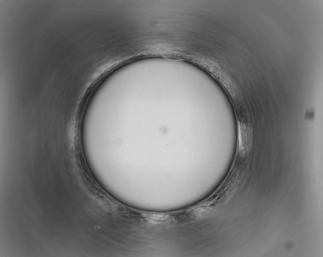 X0000116610579201001081212