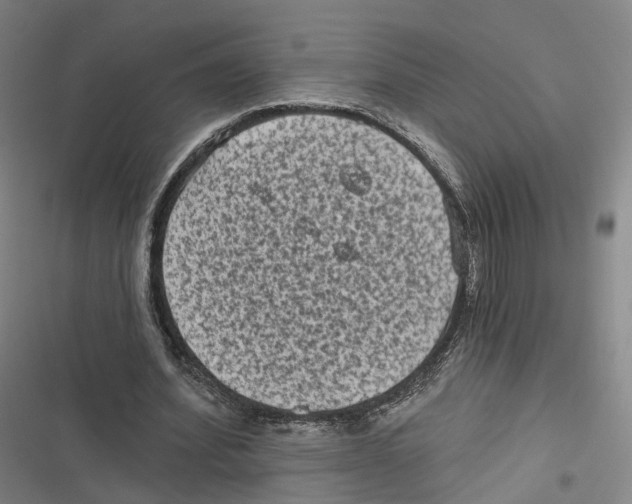 X0000116610580201001081212