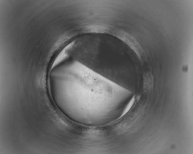 X0000116610581201001081212