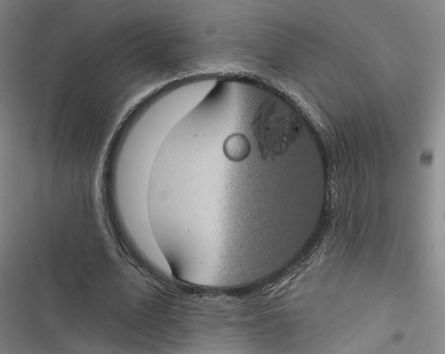 X0000116610583201001081212