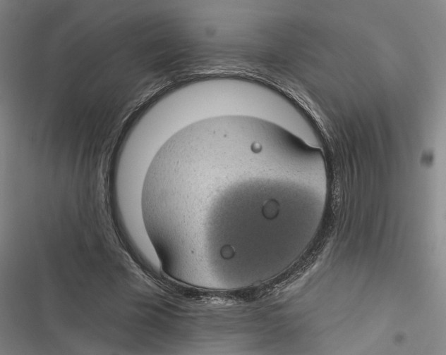 X0000116610585201001081212