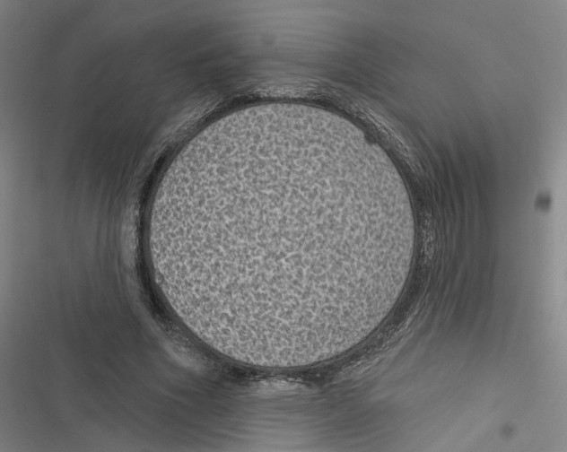 X0000116610586201001081212