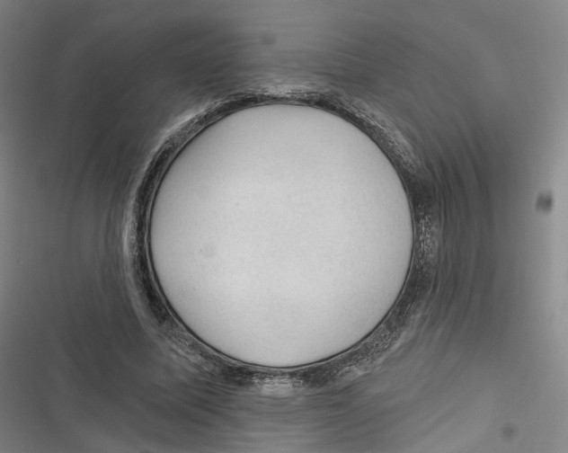 X0000116610587201001081212