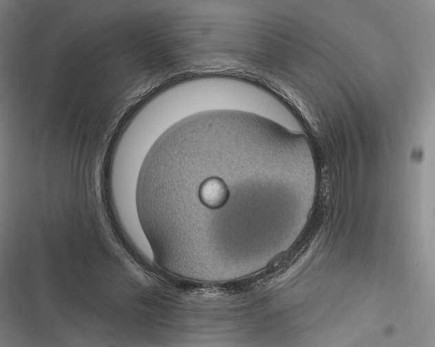 X0000116610589201001081212