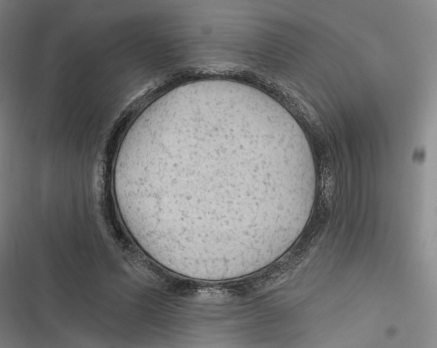 X0000116610591201001081212