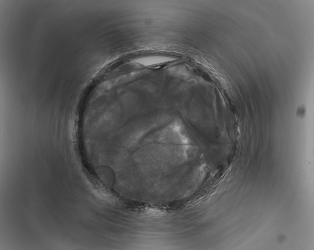 X0000116610592201001081212