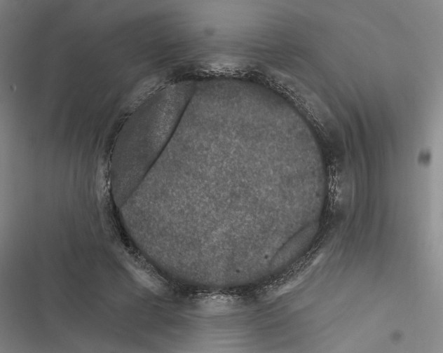 X0000116610593201001081212