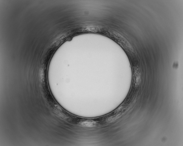 X0000116610595201001081212