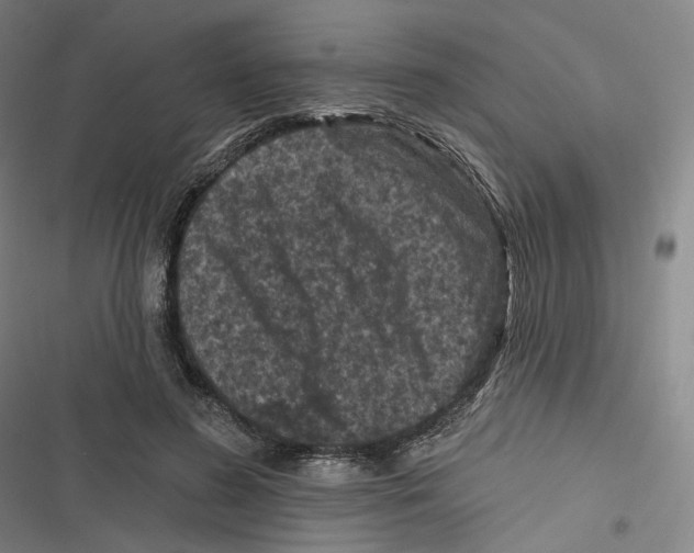 X0000116610596201001081212