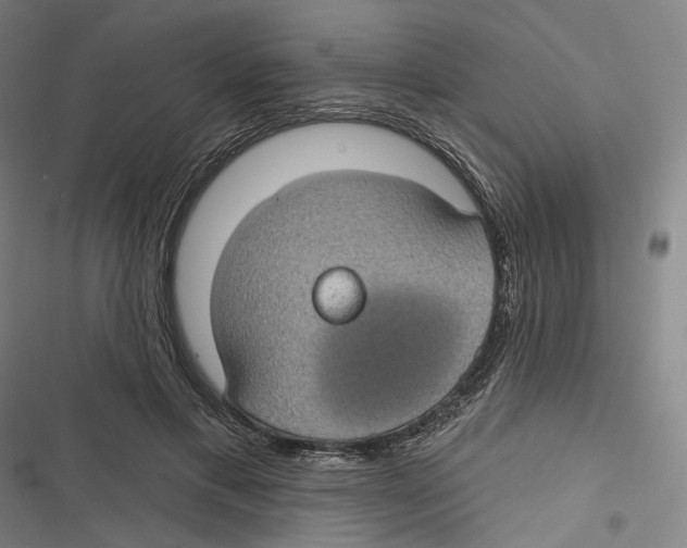 X0000116610597201001081212