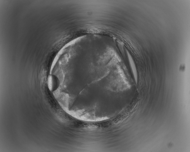 X0000116610598201001081212