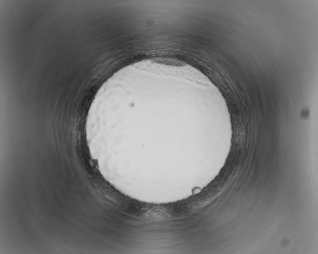 X0000116610599201001081212