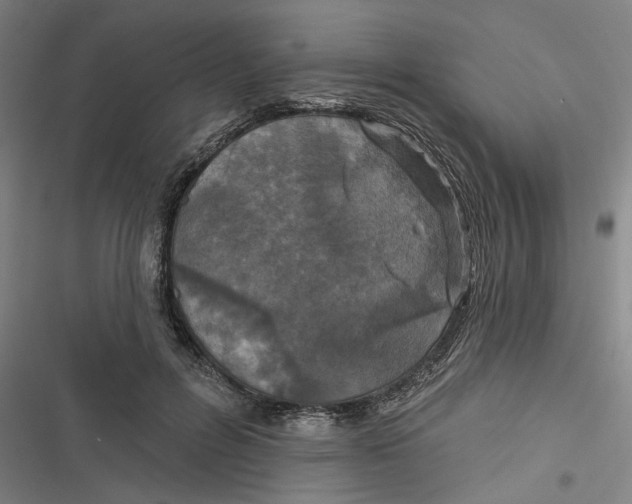 X0000116610600201001081212