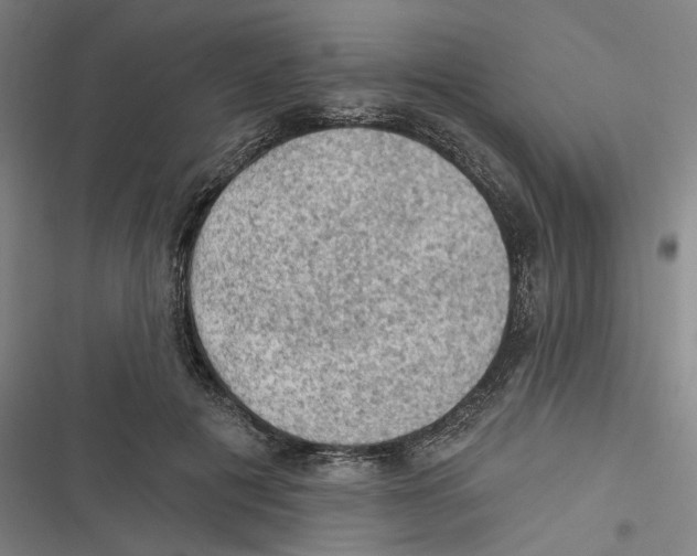 X0000116610601201001081212