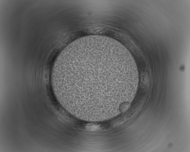 X0000116610602201001081212