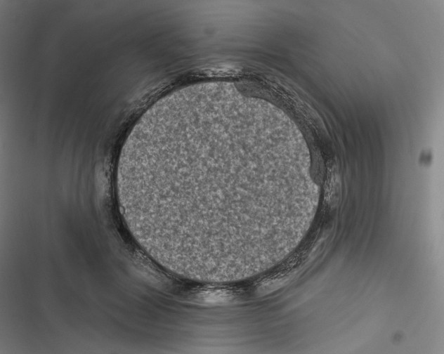 X0000116610604201001081212